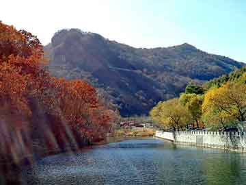 新澳天天开奖资料大全旅游团，全自动电脑弯刀机